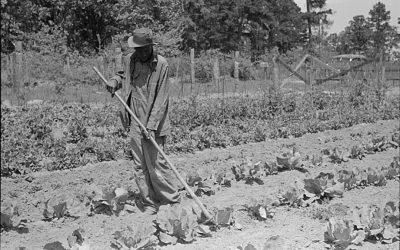 African Americans in Texas