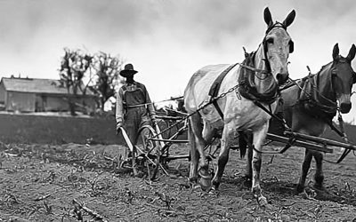 The Delicate Dance of Farming