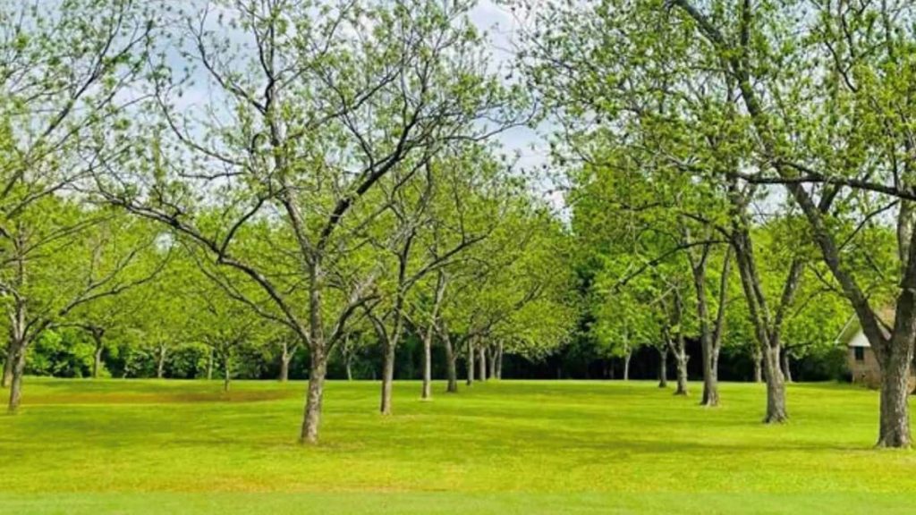 The Dirden Farm Easement Property.